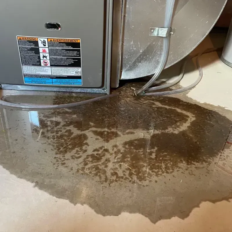 Appliance Leak Cleanup in Huntsville, TN